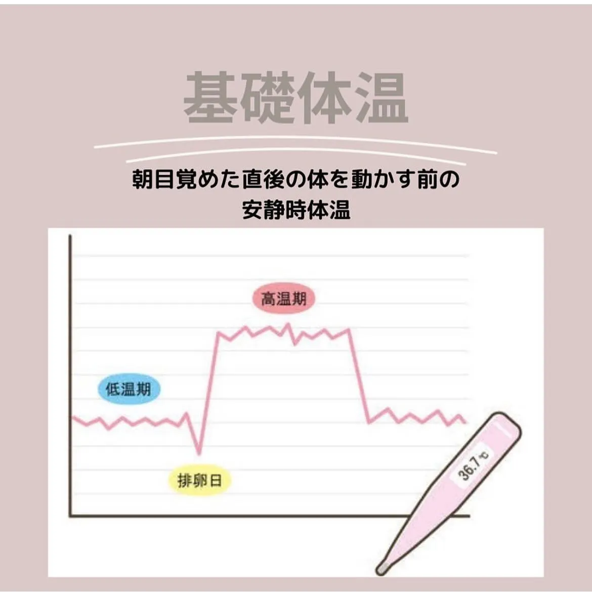 【基本的な月経について♪ えりか】