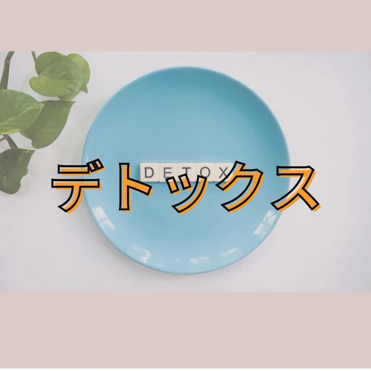 【デトックス🌱　えりか】