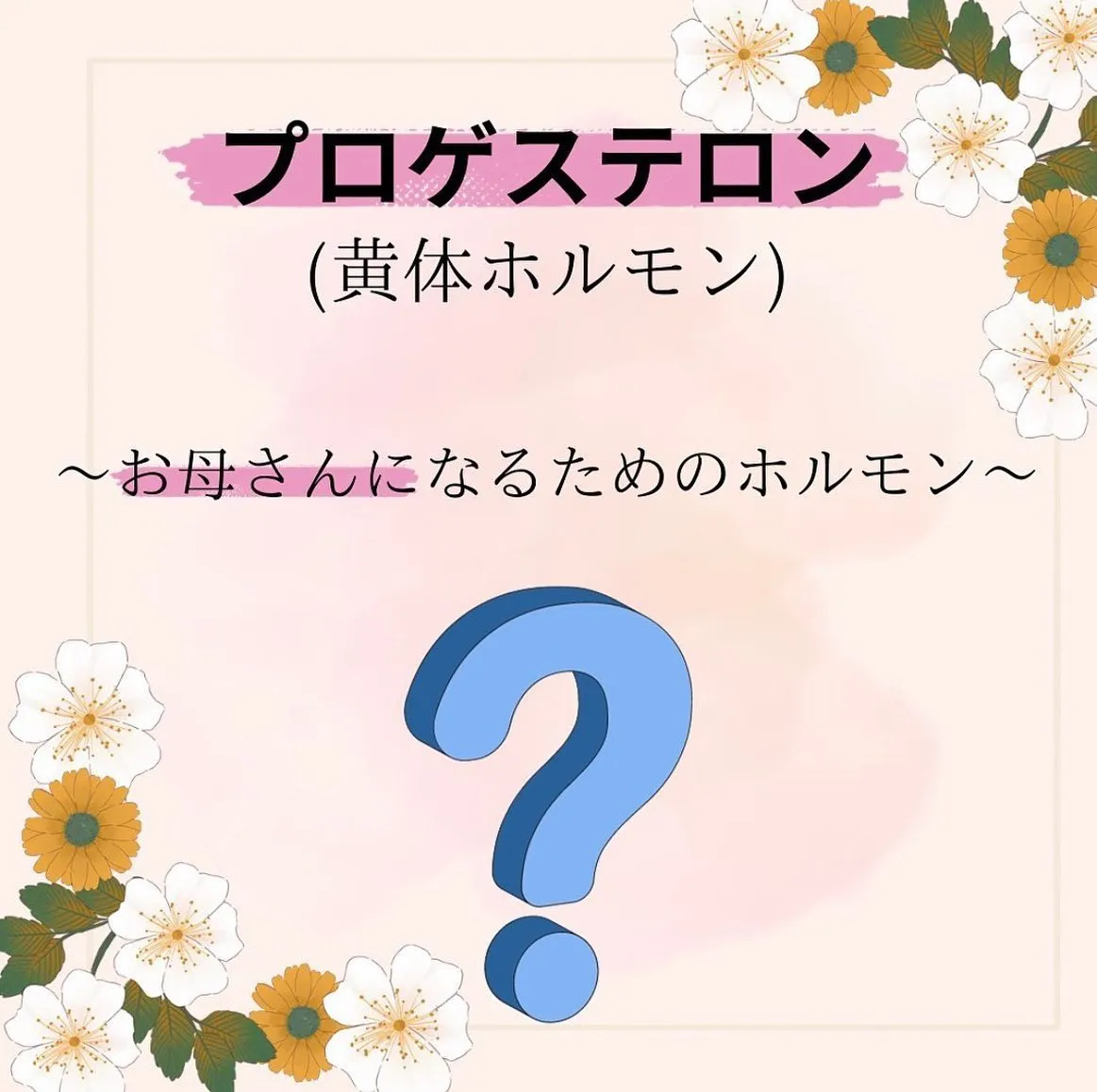 【プロゲステロン 〜お母さんになるためのホルモン〜 としみ】