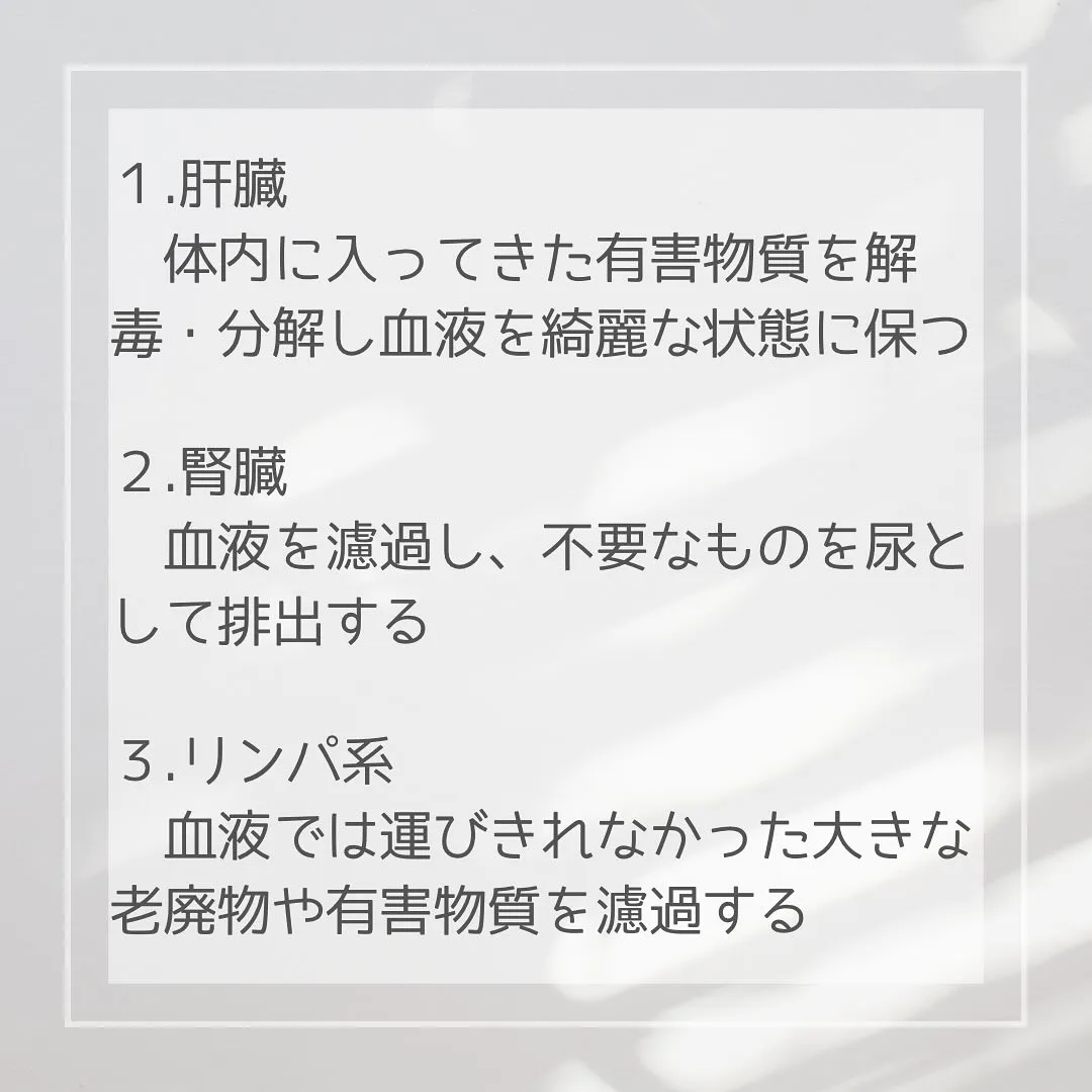 【デトックスに必要な身体の機能と食事　あやの　】