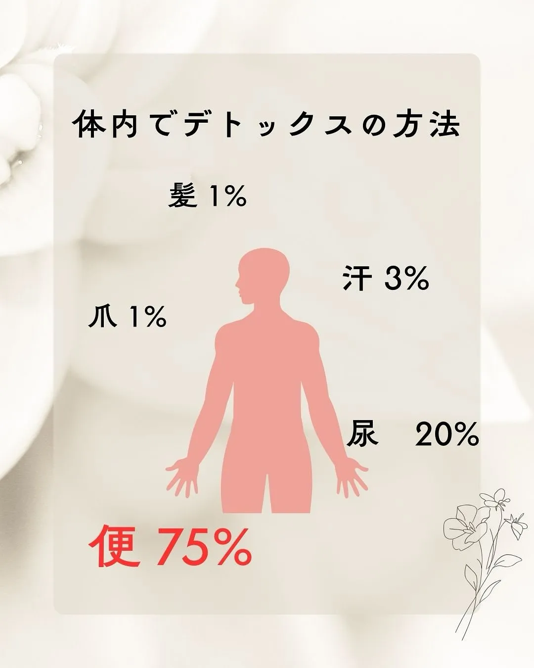 【デトックスについて✨りな】