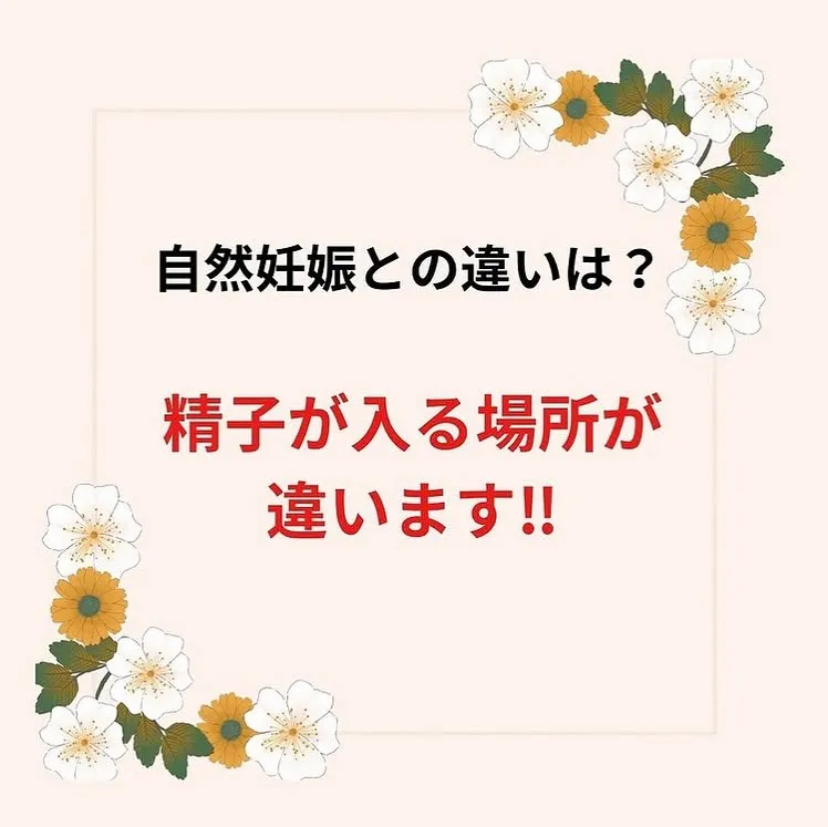 【子宮調整士　としみ】