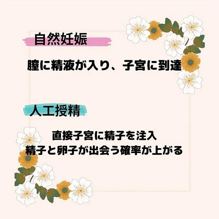 【子宮調整士　としみ】