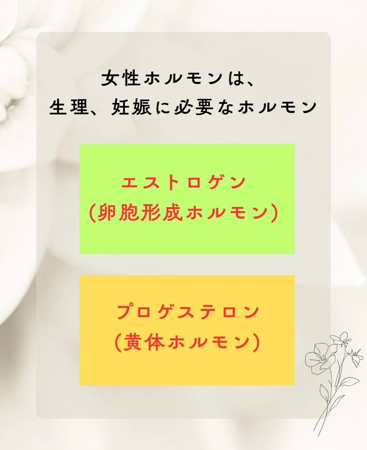 【女性にとって大切なホルモンについて りな】