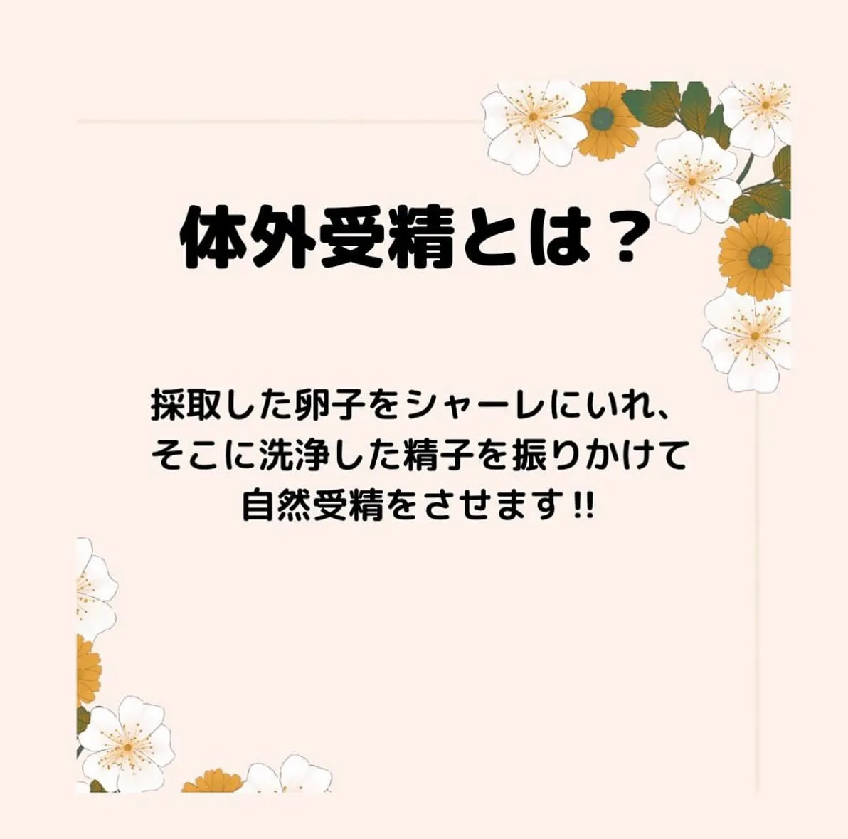 【体外受精 としみ】