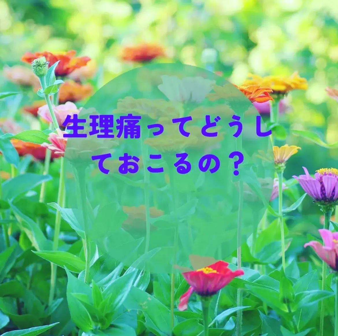 【生理痛ってどうして起こるの？ あき】