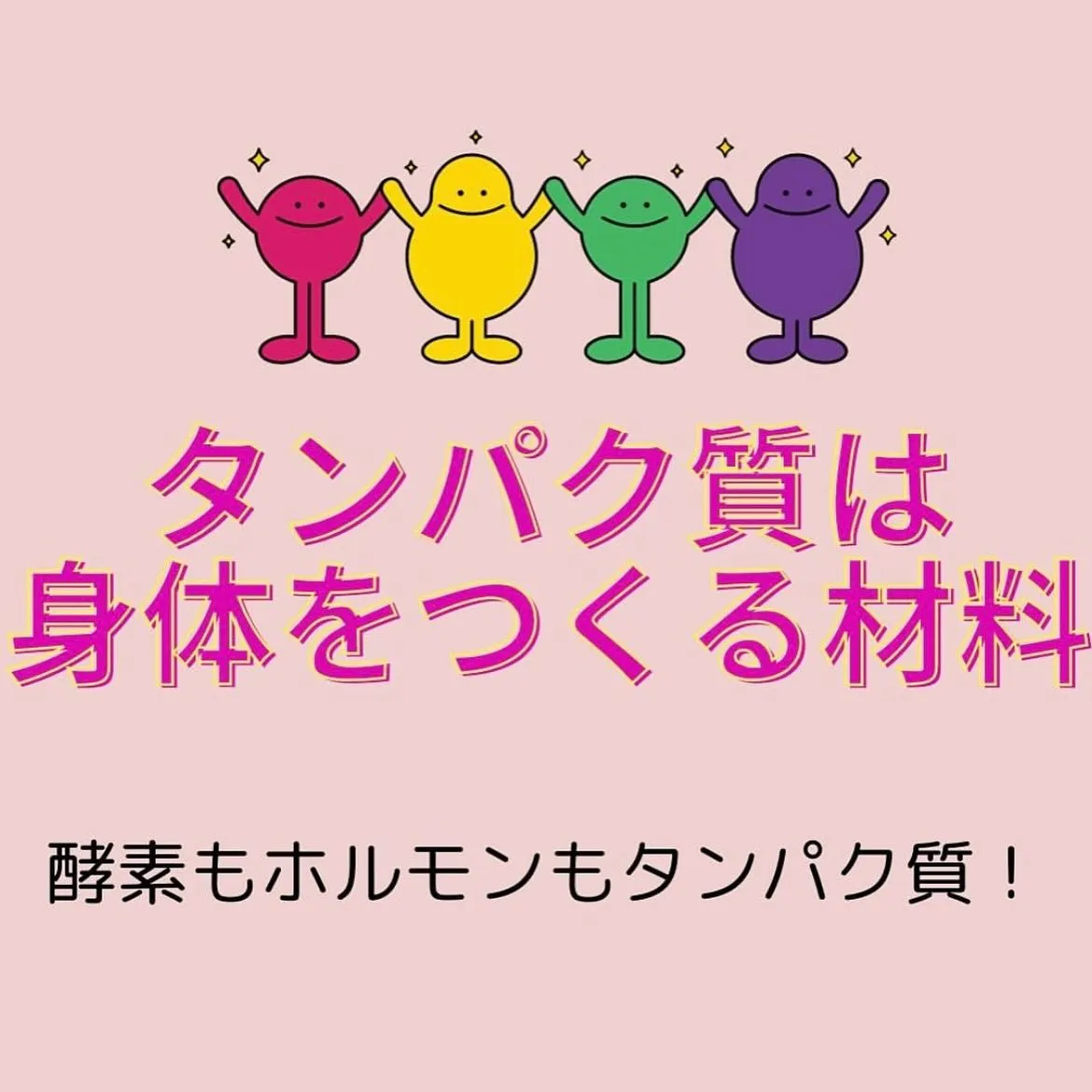 【タンパク質について ゆりか】