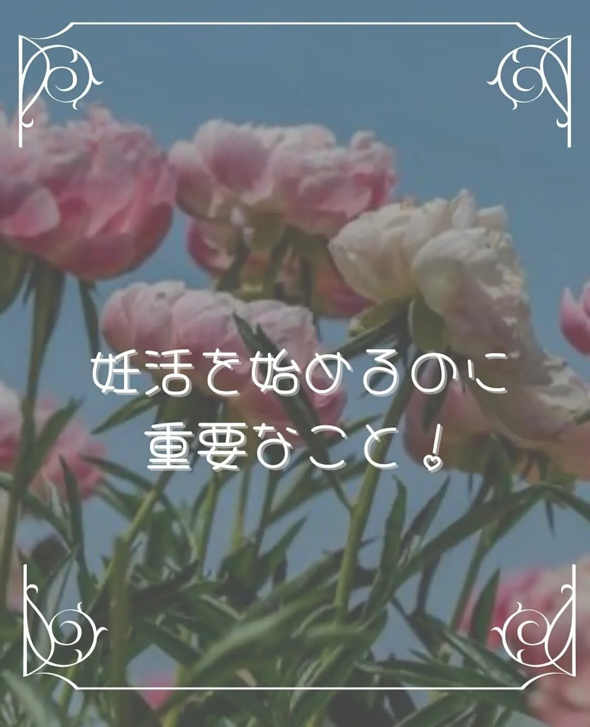 【妊活を始めるのに重要なこと りな】