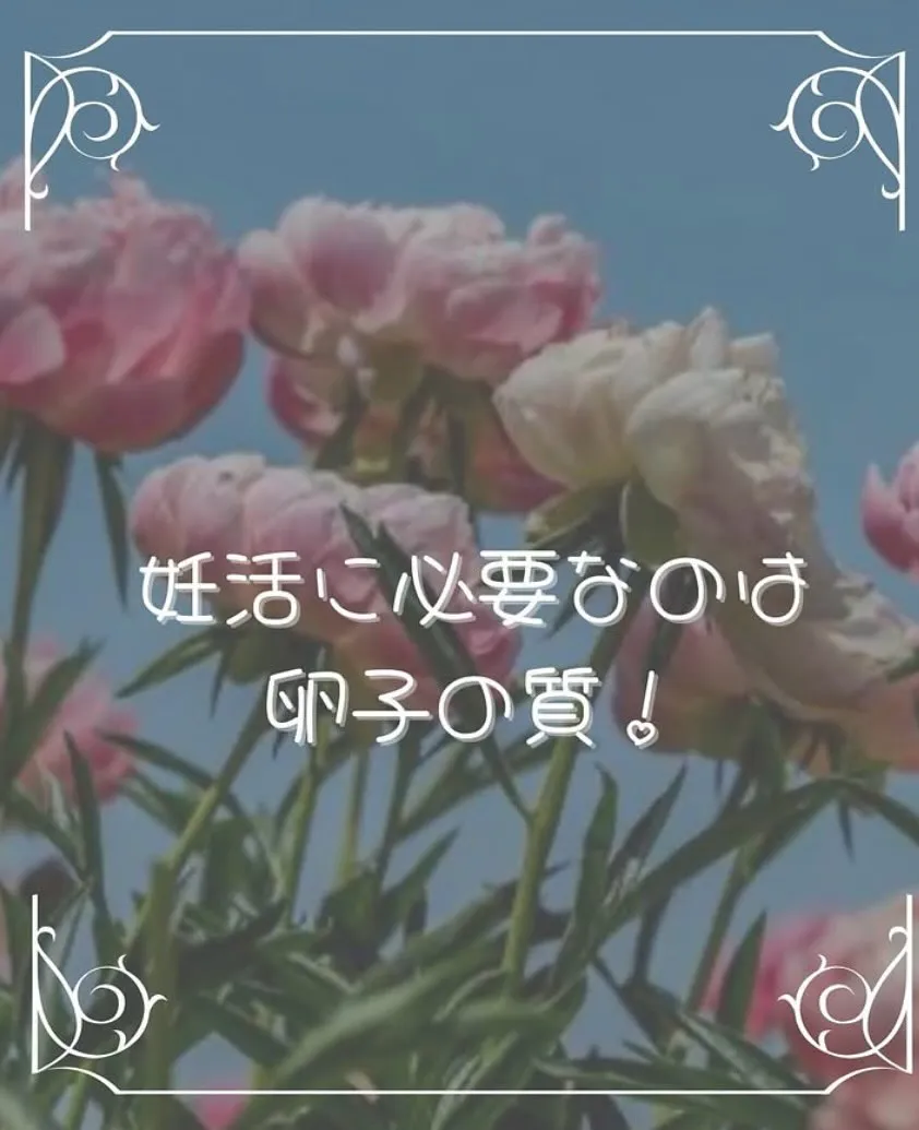 [妊活に大切なのは卵子の質！　りな]