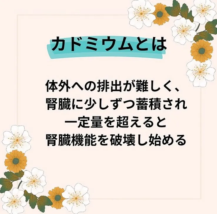 【子宮調整士　としみ】